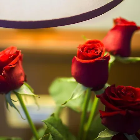 Grand Nuove Terme אקווי טרמה