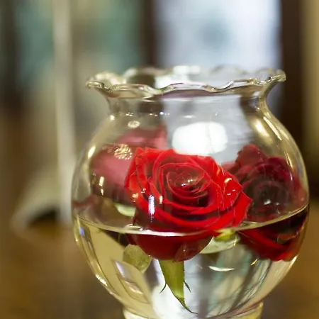 Grand Nuove Terme מלון